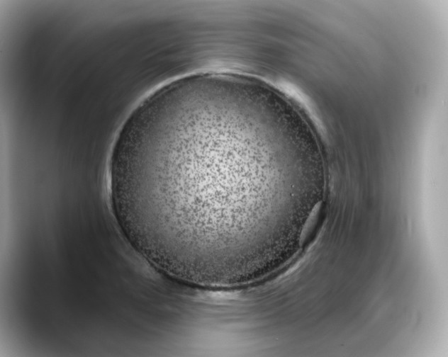 X0000088431280200706051223