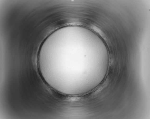 X0000088431282200706051223