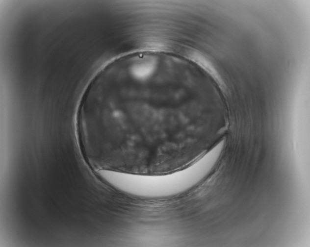 X0000088431283200706051223