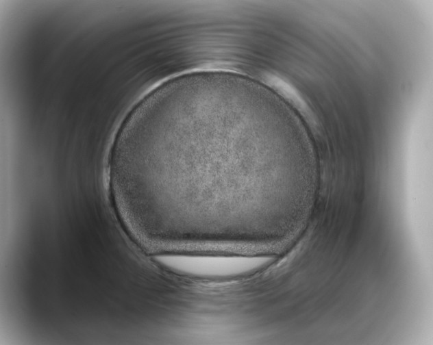 X0000088431284200706051223