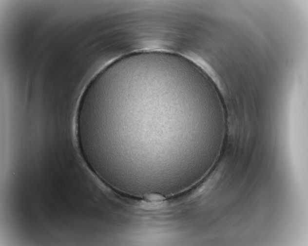 X0000088431285200706051223