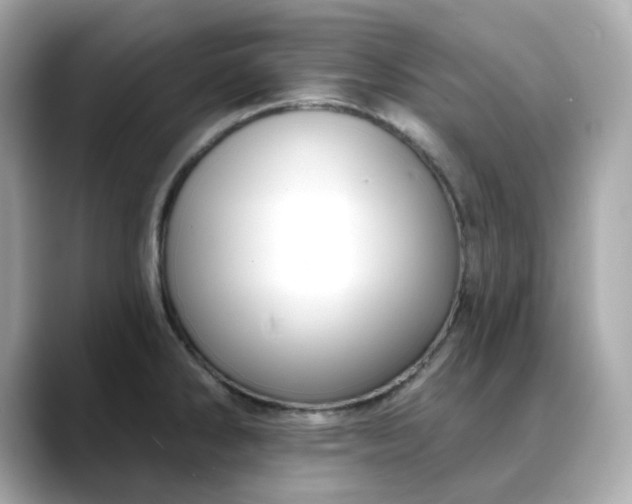 X0000088431286200706051223