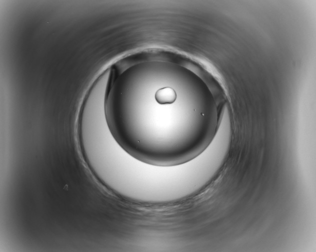 X0000088431287200706051223