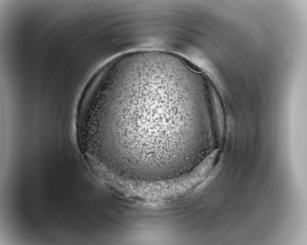 X0000088431288200706051223