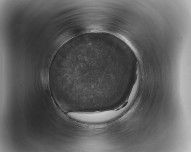 X0000088431289200706051223