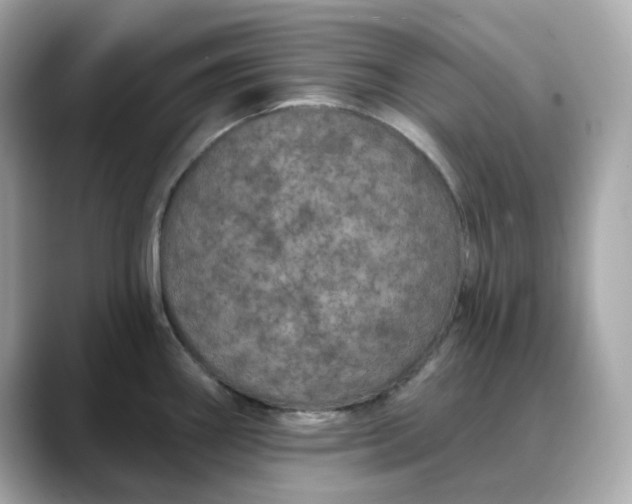 X0000088431290200706051223