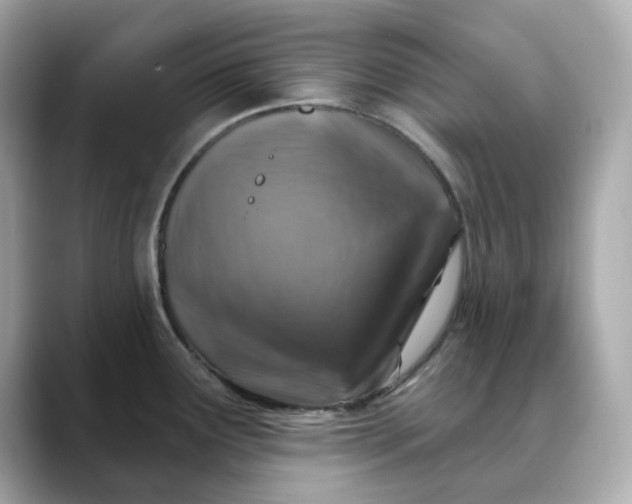 X0000088431291200706051223