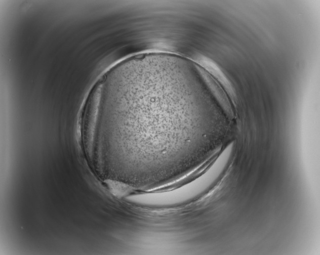 X0000088431292200706051223