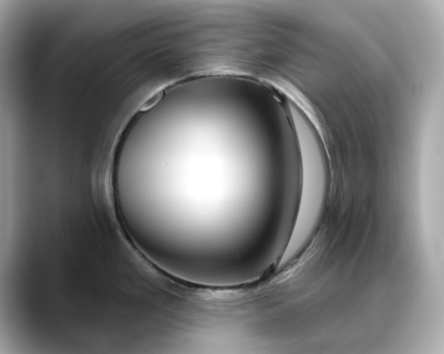 X0000088431293200706051223