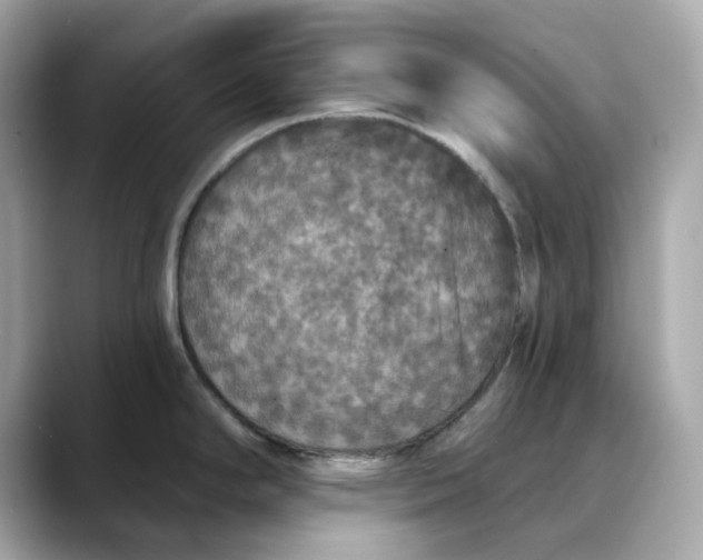 X0000088431294200706051223