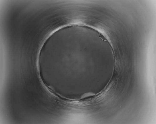 X0000088431295200706051223