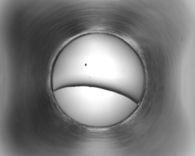 X0000088431296200706051223