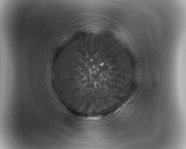 X0000088431297200706051223