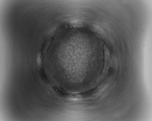 X0000088431298200706051223