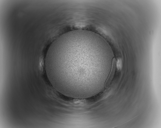 X0000088431299200706051223