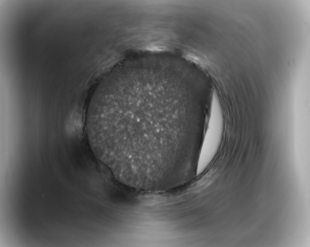 X0000088431300200706051223