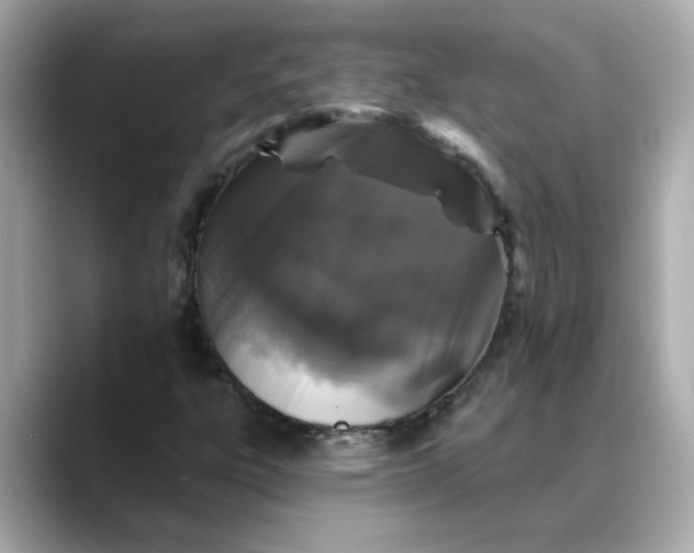 X0000088431303200706051223