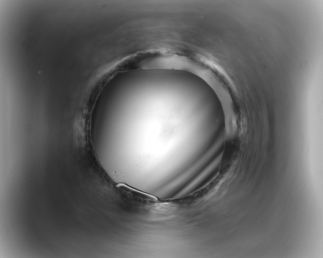 X0000088431304200706051223