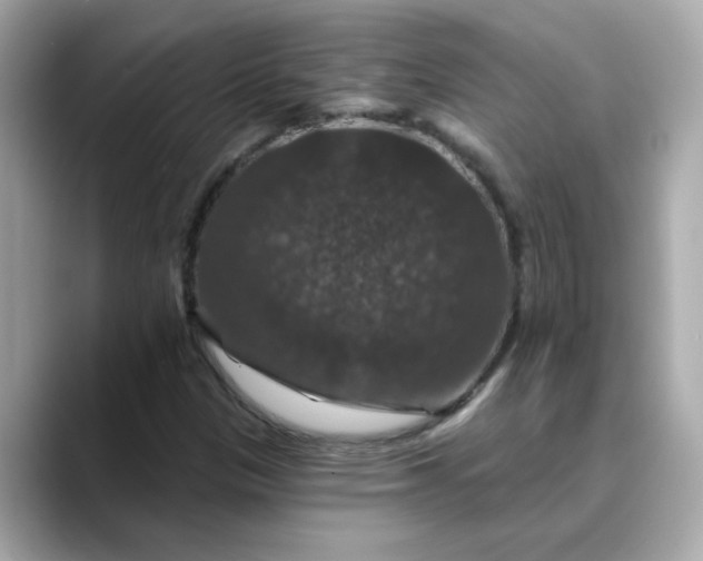 X0000088431305200706051223