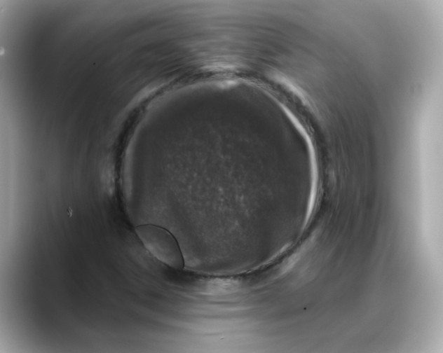 X0000088431306200706051223