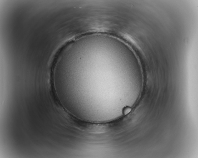 X0000088431307200706051223