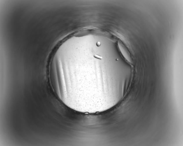 X0000088431308200706051223