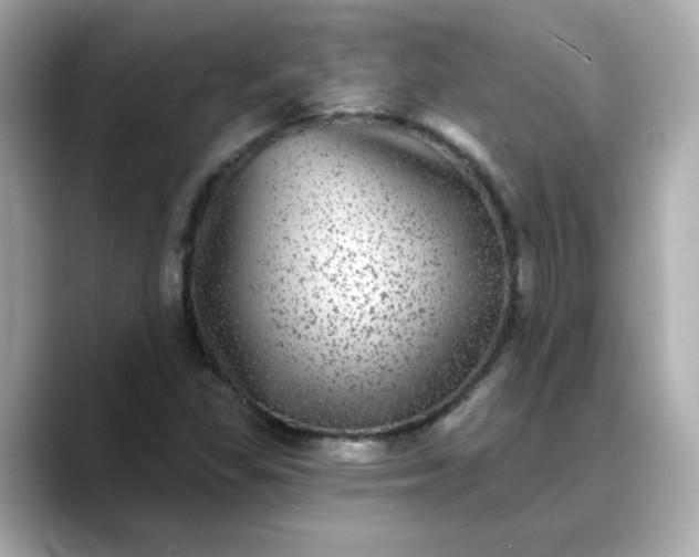 X0000088431309200706051223