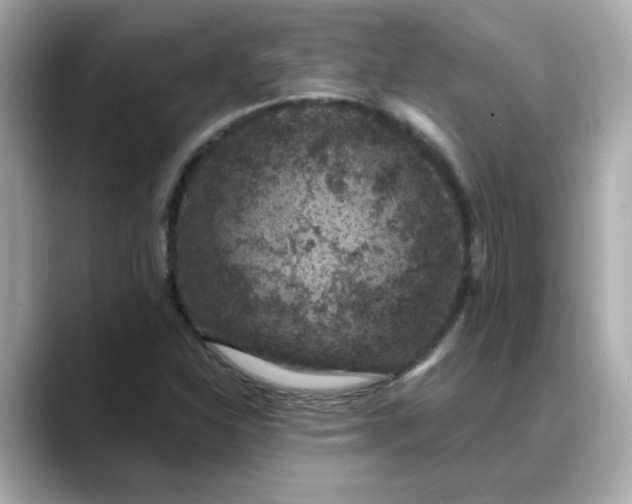 X0000088431310200706051223