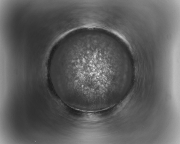 X0000088431311200706051223