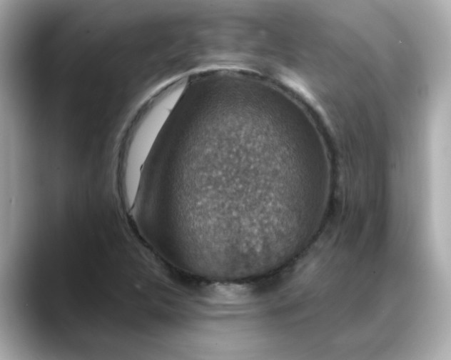 X0000088431312200706051223