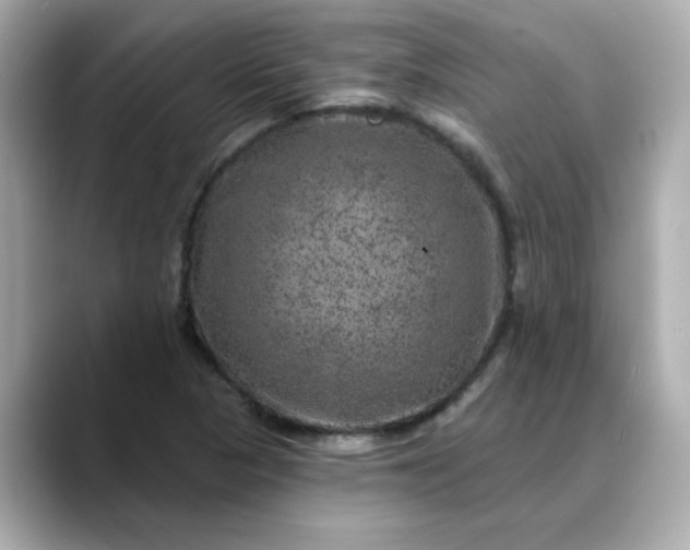 X0000088431313200706051223