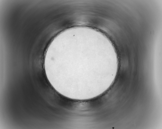 X0000088431314200706051223