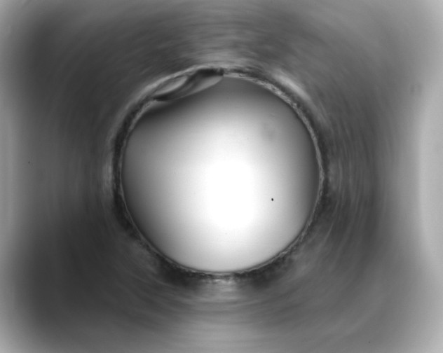 X0000088431315200706051223