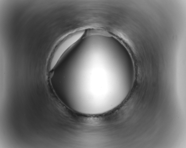 X0000088431316200706051223