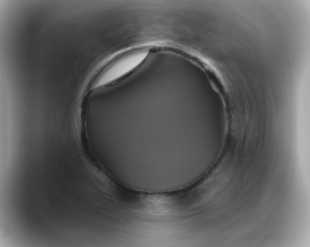 X0000088431319200706051223