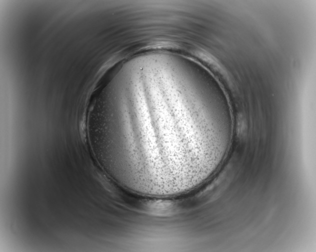 X0000088431321200706051223