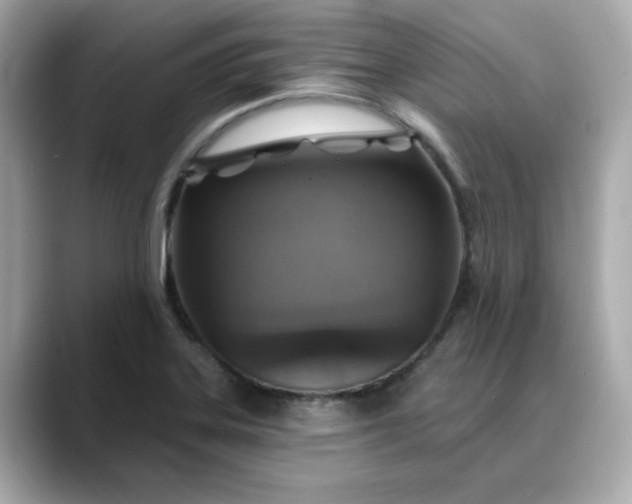 X0000088431323200706051223