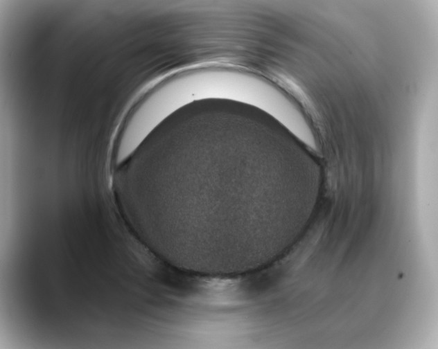 X0000088431324200706051223