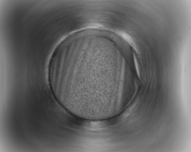 X0000088431326200706051223