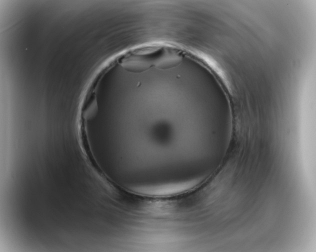 X0000088431327200706051223