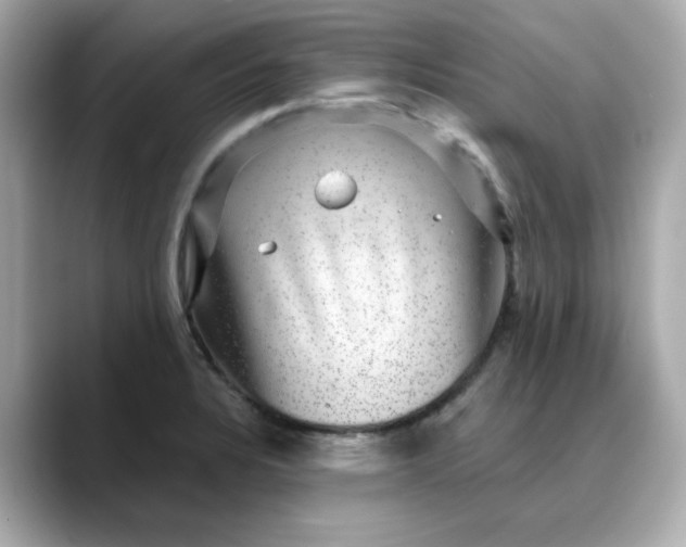 X0000088431328200706051223