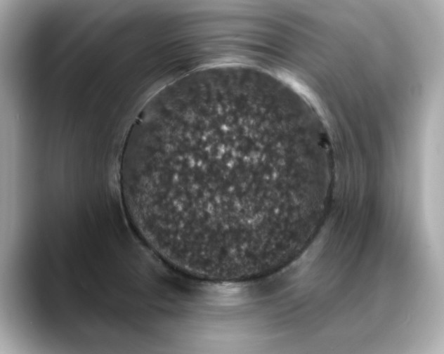 X0000088431329200706051223