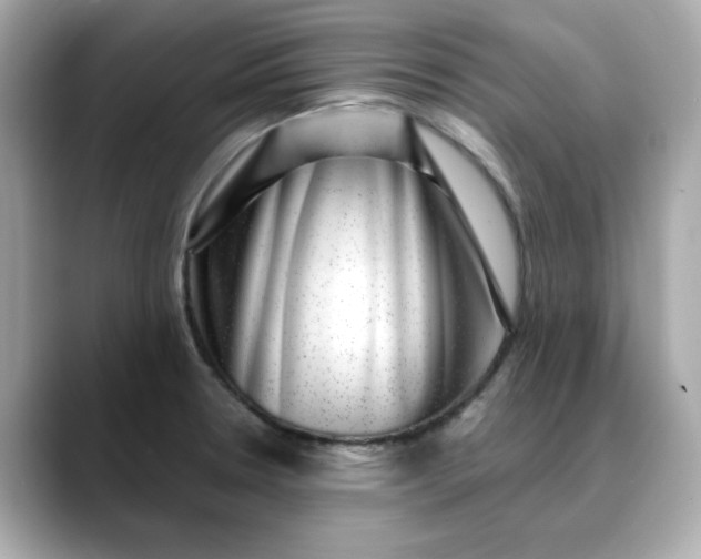 X0000088431330200706051223