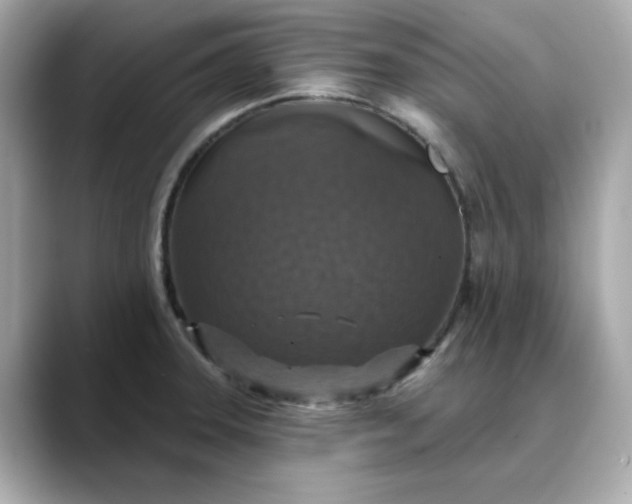 X0000088431331200706051223