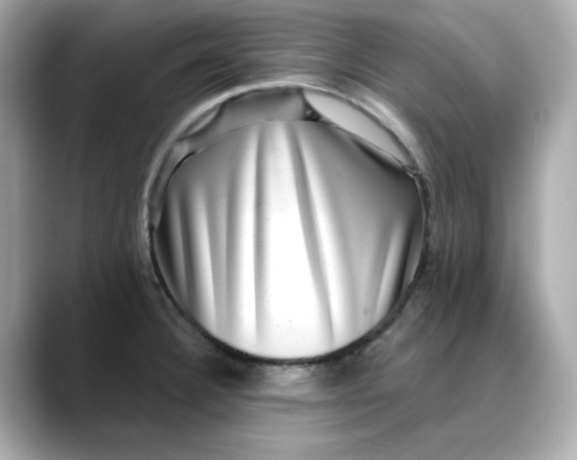 X0000088431332200706051223