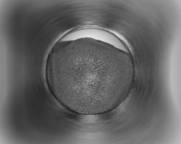 X0000088431333200706051223