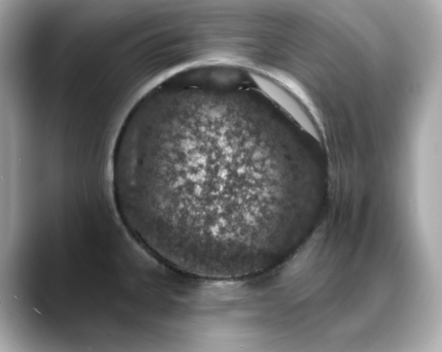 X0000088431335200706051223