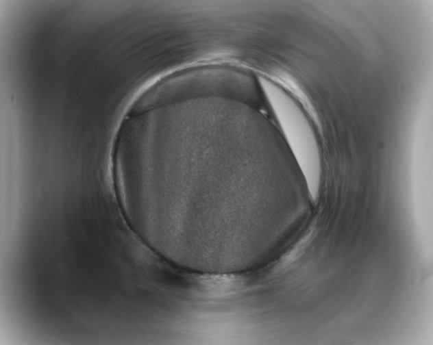 X0000088431336200706051223