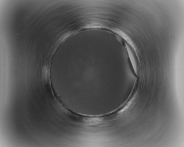 X0000088431337200706051223