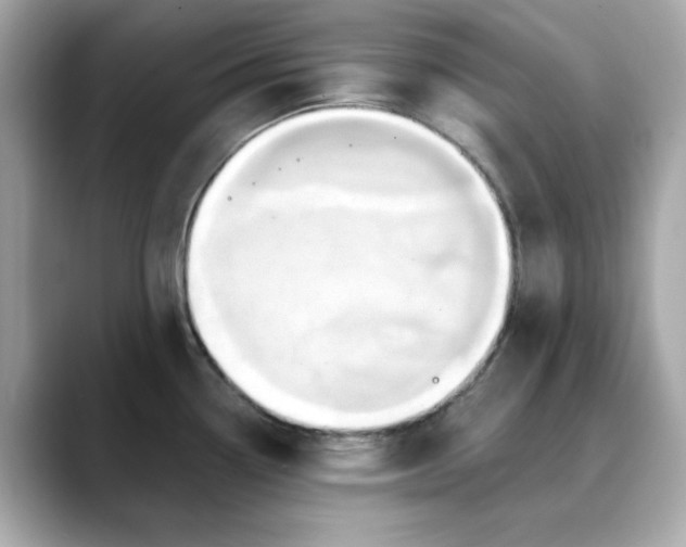 X0000088431338200706051223